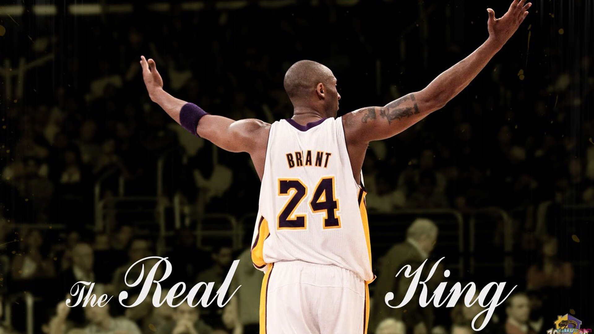 Scout战术调整引热议(scout special)|MK娱乐平台